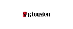 kingston